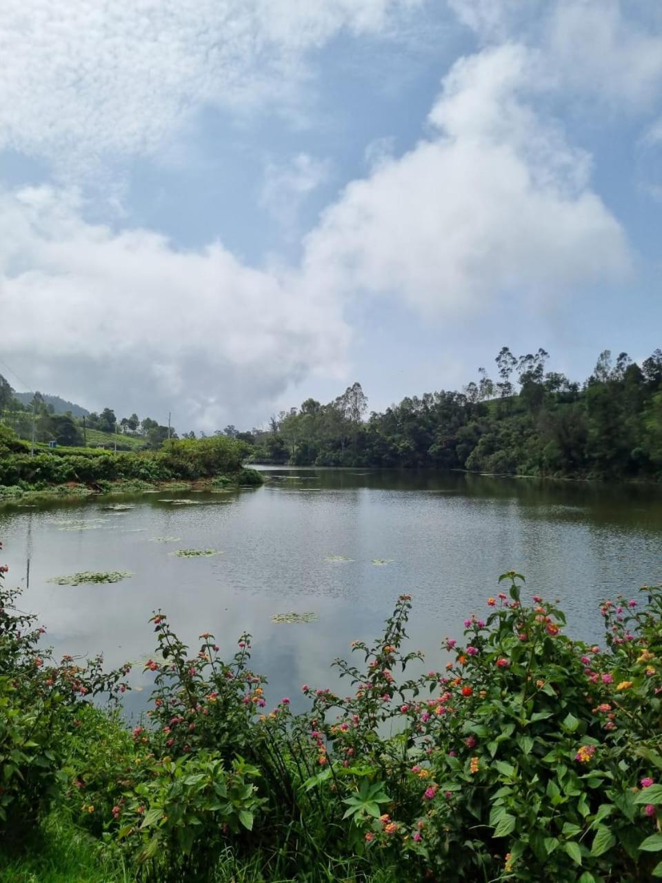 Camellia Heights 1&2 Bed and Breakfast Coonoor Eksteriør billede