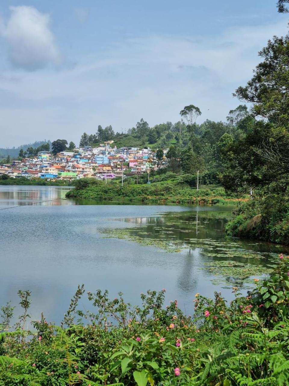 Camellia Heights 1&2 Bed and Breakfast Coonoor Eksteriør billede