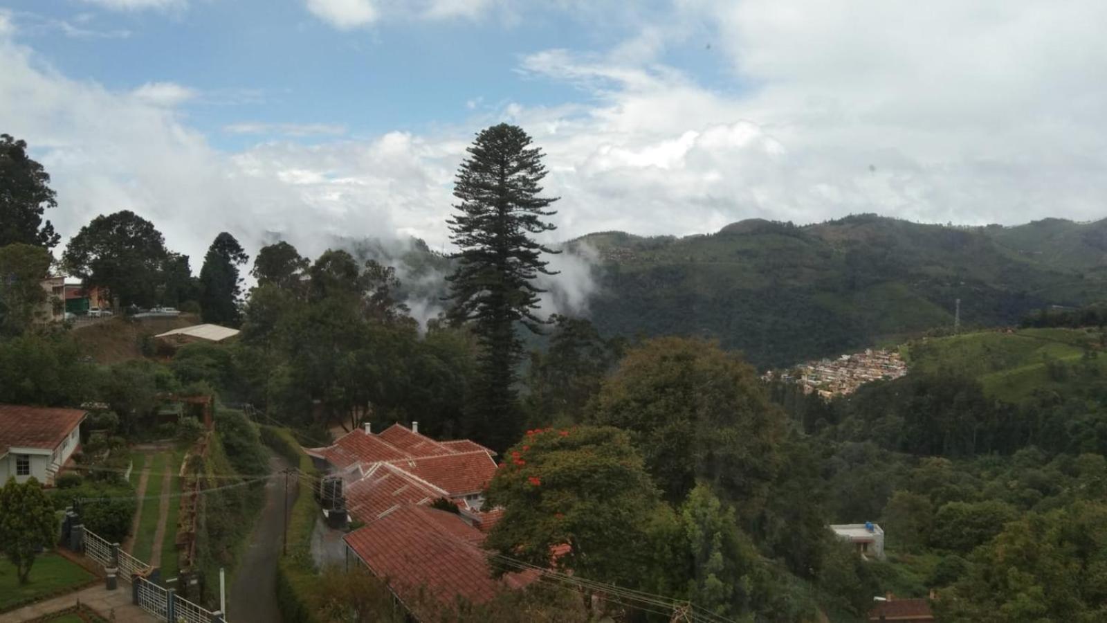 Camellia Heights 1&2 Bed and Breakfast Coonoor Eksteriør billede